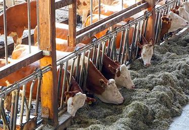 La biosécurité se résume en une série de mesures simples qui permettent de protéger les animaux d’un certain nombre de pathologies, en extérieur, mais aussi à l’intérieur des bâtiments.