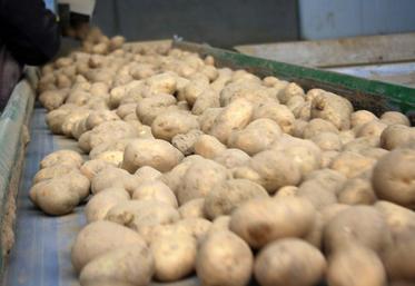 Les semaines se suivent et se ressemblent pour les producteurs de pommes de terre dont les débouchés 
se sont soudainement taris avec l’épidémie de Covid-19, et sans beaucoup de solutions depuis l’entrée dans une phase 
de déconfinement.