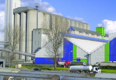 Beaucoup de blés de qualité intermédiaire ne trouvent pas d'acheteurs à l’exportation leur qualité étant incompatible avec les cahiers des charges.