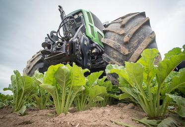 « Pas de prix, pas de semis ! », pouvait-on lire sur des pancartes des planteurs.