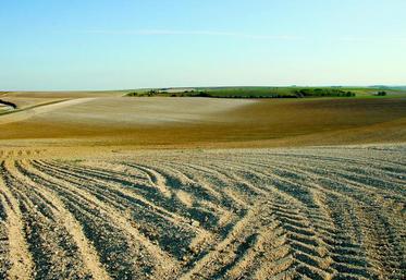 La dégradation des sols a été l’un des premiers sujets abordés lors de la conférence organisée par le ministère de l’Agriculture français et l’Ocde, le 16 septembre dernier, à Paris. En 150 ans, on a perdu 80 milliards de tonnes de carbone.