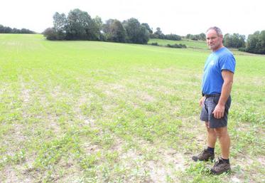 Convaincu du non-labour après avoir réalisé des profils de sol, David Ducellier n’imagine pas revenir en arrière. 