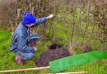 L’entretien des haies et la tonte des pelouses font partie des activités exercées par les auto entrepreneurs.