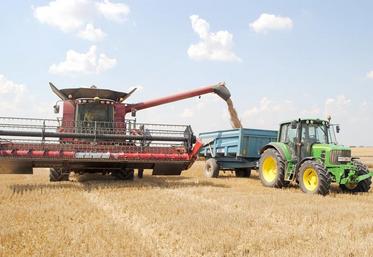 Les couverts sont semés le plus tôt possible après la moisson.