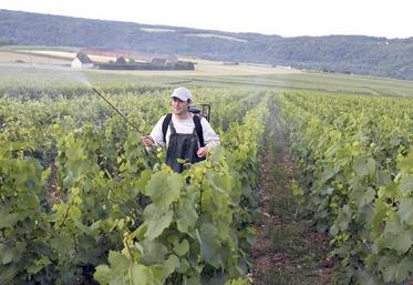 Sur près de six cents agriculteurs français, 41 % des exploitants en agriculture conventionnelle utilisent des produits de biocontrôle, tout comme 50 % des agriculteurs bio.
