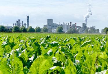 Timothé Masson : «Nous devons conserver notre potentiel de production.»