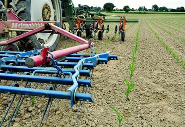 Priorité sera également donnée aux grandes cultures.