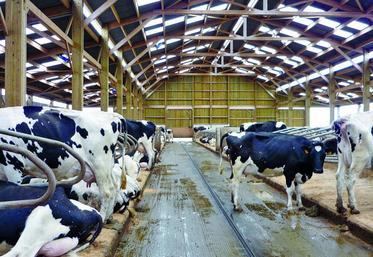 Les paramètres comme l’ambiance, la luminosité, le type de logement, mais également le réglage et l’entretien des équipements, influent directement sur l’état sanitaire des animaux, l’apparition de blessures et le stress global.