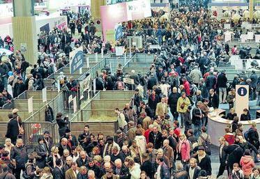 En 2015, 7 000 visiteurs internationaux ont été enregistrés.