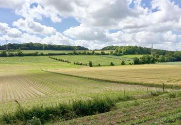 La SNPR dénonce des prix du fermage en baisse, une fiscalité très confiscatoire via l’impôt foncier, la décote qui s’applique sur les terres vendues louées, ou encore la recrudescence des non-paiements… 