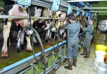 Les sociétés préexistantes (Earl, Scea…) qui souhaitent se transformer en Gaec verront leur agrément traité comme toute demande de création de Gaec.