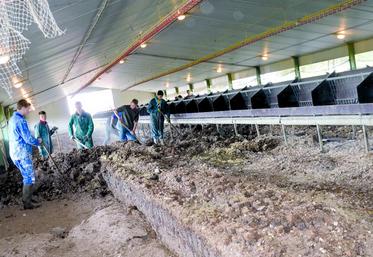 Pas moins de 800 m2 à vider de ses volailles, puis à curer, nettoyer, sécher, désinfecter et laver.