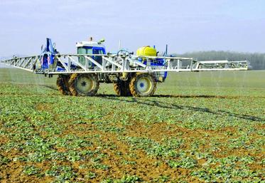 Premier apport azote colza.