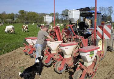 Avec le réchauffement des températures observé depuis 25 ans, un semis de mi-avril en 2015 n’est pas plus exposé au risque de gel qu’un semis de début mai dans les années 80.