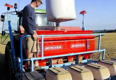 Les agriculteurs pourront une dernière fois cultiver du colza,
semé à l’automne, traité avec des néonicotinoïdes.