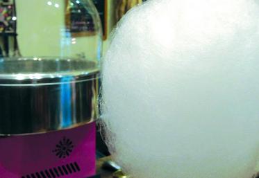 La barbe à papa au Miel de Tilleul de Picardie : à découvrir absolument sur le stand Picardie où chaque jour, un apiculteur professionnel vous fera découvrir ce miel au goût mentholé.