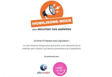 "On a besoin de 50 000 personnes en mars, 80 000 en avril et 80 000 en mai", a détaillé la présidente de la FNSEA Christiane Lambert.