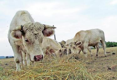 Les températures estivales ont augmenté de 2°C en trente ans et le déficit hydrique au printemps s'est creusé de 100 mm. 
À l'avenir, le creux estival de production des prairies sera plus marqué.