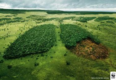 Les forêts tropicales ne compensent désormais que 1 % des émissions anthropiques de gaz à effets de serre...