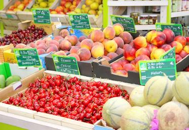 Trois secteurs tirent également la croissance du bio : les légumes, les fruits et la vigne.