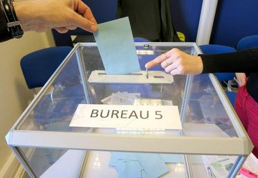 Les votes aux élections chambre s’achèveront le 31 janvier à minuit.
