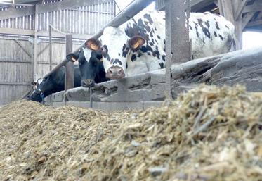 Inutile de constituer des stocks trop importants (en aliments pour bovins notamment). Aucune pénurie ne se profile pour le secteur agricole.