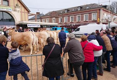 La Foire de printemps de Poix-de-Picardie est annulée, au grand dam des éleveurs du secteur.