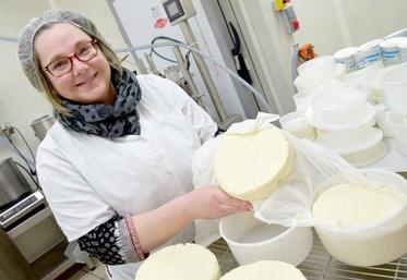 Dans son atelier lait, les premières tommes sont en cours de fabrication.