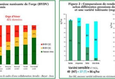Source : données parcellaires historiques acquises dans le cadre d’une collaboration Arvalis - Bayer - Inra