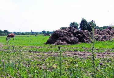 Le stockage au champ est limité aux seuls fumiers compacts non susceptibles d’écoulements qui ont séjourné au moins deux mois sous les animaux ou en fumière.