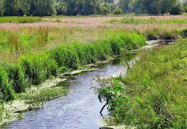 «Il appartient désormais à la nouvelle grande région Nord-Pas-de-Calais-Picardie d’étudier les suites à donner au projet 
du SRCE picard», a déclaré la préfète de Région, avant de quitter le département de la Somme.