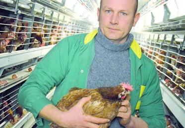 Jérôme Tassart : «On est prêt à s’adapter, mais qui va nous prêter de l’argent, d’autant que le marché des œufs en plein air est déjà saturé ?»