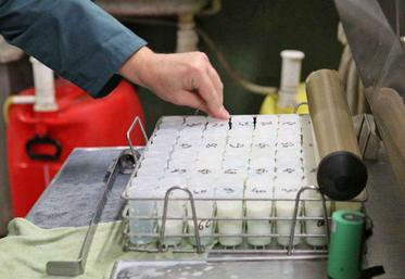 Au-delà des résultats classiques, lait, taux et cellules, de nombreux outils permettent aujourd’hui d’ajuster la conduite du troupeau de manière réactive.