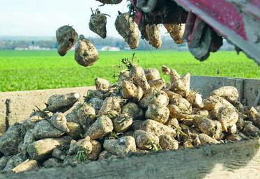 Avec la fin des quotas, des opportunités commerciales pourraient être saisies, notamment sur la possibilité d’attaquer des marchés historiquement captifs.