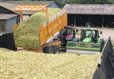 L’objectif est de récolter entre 30 et 35 % de matière sèche.