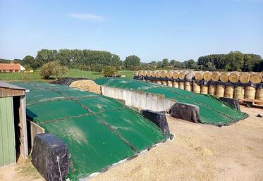 Deux silos de 352 et 320 mètres carrés sont constitués par le Gaec Boudaillier pour l’alimentation de leur troupeau de vaches laitières. Exit les pneus pour la couverture désormais remplacés par un filet protecteur et un film barrière à oxygène commercialisé par Velitex.