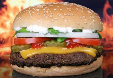 Le secrétaire américain à l’Agriculture Sonny Perdue a appelé les Européens à réexaminer leur décision d’interdire les importations de poulet chloré et de bœuf aux hormones