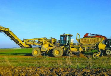 Le déterreur de pommes de terre créé par Picardie récoltes à partir d’un déterreur de betteraves.