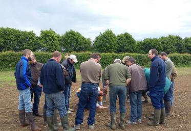 Les cafés de la bio sont de réels temps d’échanges entre conseillers et porteurs de projets. 