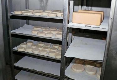 Pour certains producteurs de fromages exclusifs, il a fallu réorienter une partie de leur production, mais d’une manière générale, les choses se sont plutôt bien passées.