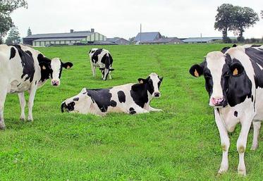 La loi n’encadre pas de manière générale la cession de contrat.