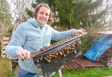 Camille lâche 200 000 naissains au printemps, et tous les escargots sont abattus avant l’hiver. Seuls quelques-uns sont conservés pour les visites pédagogiques.