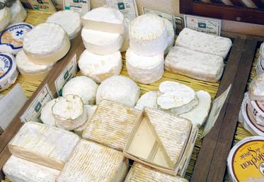 Les exportations vers les pays tiers ont connu un fort accroissement. Ainsi, la part de la France dans les exportations de l’Union européenne vers les pays tiers s’est renforcée dans les années 2010. Elle a dépassé 17 % alors qu’elle était à moins de 16,5 % en 2000. La croissance provient, entre autres, des exportations de fromages.