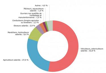 Nombre de projets de recrutement en 2018 par projet.