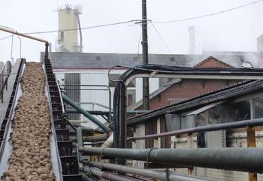 L'usine de Sainte-Emilie a tourné 24 heures sur 24 pendant cent dix jours, contre quatre-vingt-cinq l'année dernière.