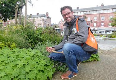 Les activités permettent de découvrir des pépites. Ici, lors de la chasse au trésor au parc de la Bouvaque, à Abbeville.
