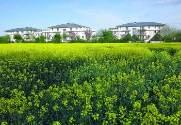 L’habitat individuel est la première cause d’artificialisation des terres. Il n’est pas rare de voir désormais des parcelles agricoles à proximité des habitations.