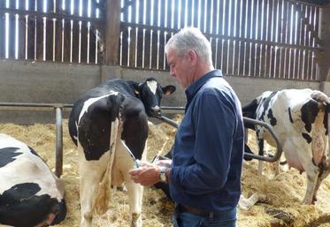 Pour Henri Ducrocq, comme pour tous les négociants en bestiaux, difficile de se projeter, car les commandes sont passées au jour le jour.