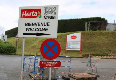 À St-Pol-sur-Ternoise, les usines Bigard et Herta sont voisines. Le signe d’un rapprochement ?