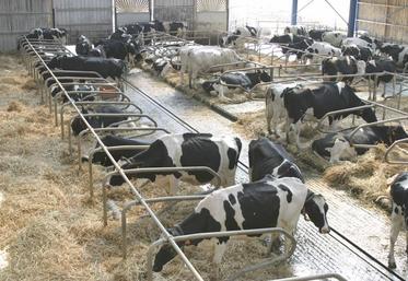 L’objectif du projet Orgue est d’identifier les difficultés et les clés de réussite de l’agrandissement et de la transmission 
en élevages laitiers dans un contexte de suppression des quotas et de libéralisation du marché laitier. 